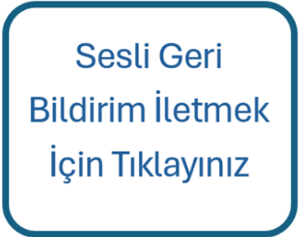 sesli_bildirim_gorsel.png (77 KB)