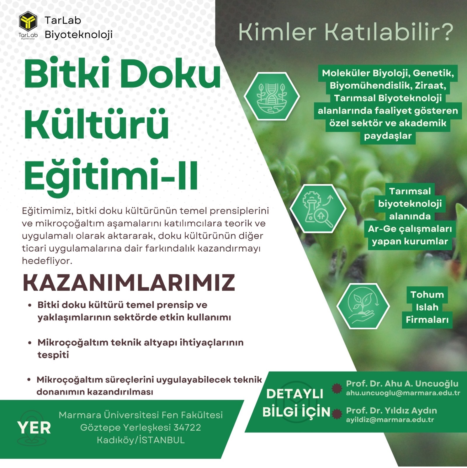 bdkegt_biy25.jpeg (523 KB)